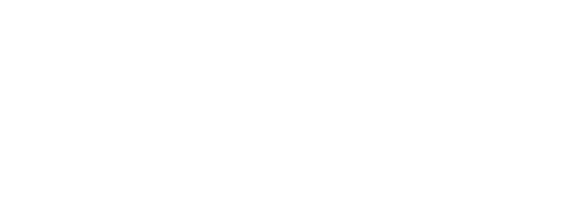 APAL-SIM
